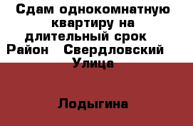 Сдам однокомнатную квартиру на длительный срок  › Район ­ Свердловский  › Улица ­ Лодыгина  › Дом ­ 56 › Этажность дома ­ 9 › Цена ­ 11 000 - Пермский край Недвижимость » Квартиры аренда   